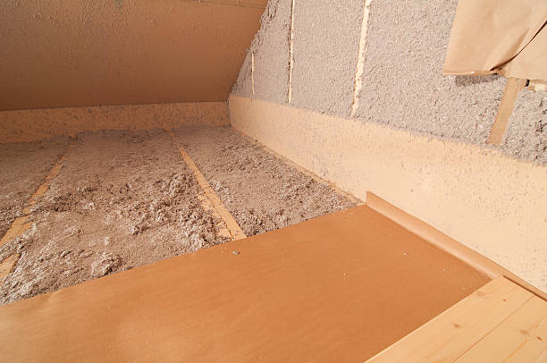 Best Eco-Friendly Insulation in Houma, LA
