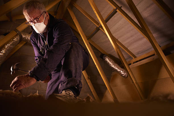 Best Eco-Friendly Insulation in Houma, LA